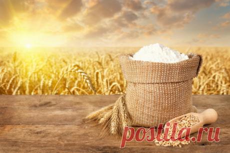 Пшеничная мука: польза или вред?