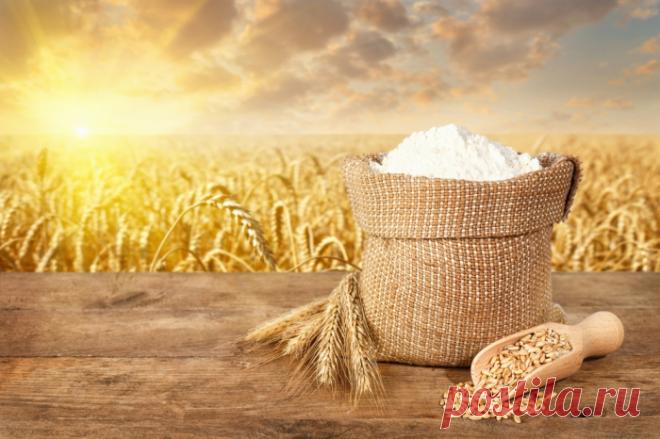 Пшеничная мука: польза или вред?