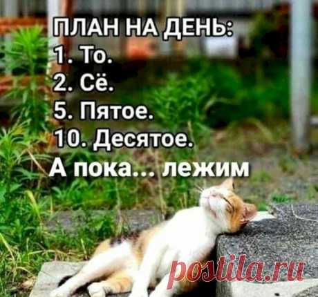 Выпуск №4295 - выпуск анекдотов сайта вокруг смеха