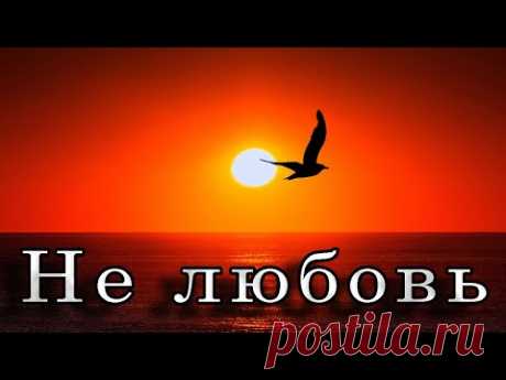 Премьера. Николай Джинчарадзе — Не любовь... (написана до 2017)