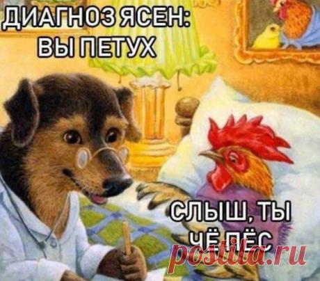 Почему платные медицинские услуги могут стоить еще дороже .