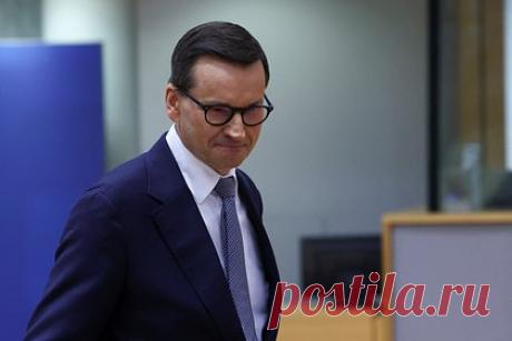 В Польше сравнили продолжительность работы нового правительства с жизнью мухи. Новое польское правительство, возглавляемое Матеушем Моравецким, проработает «меньше жизни обычной мухи». Такое предположение высказал бывший премьер-министр страны Лешек Миллер. «Правительство Моравецкого не успеет даже окукливаться, не говоря уже об откладывании яиц», — считает он.