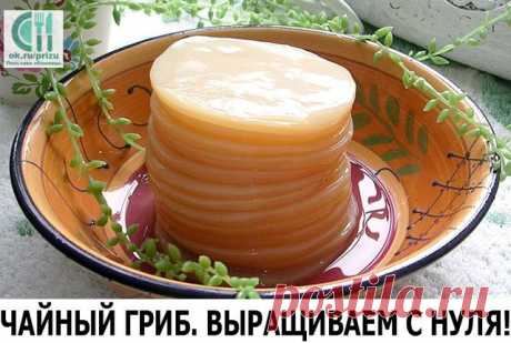 Одноклассники
