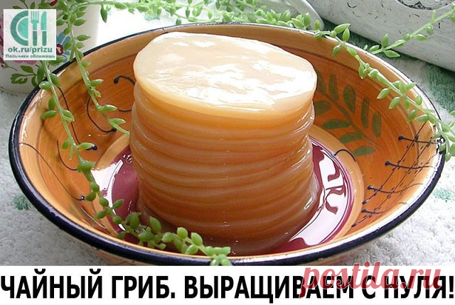 Одноклассники