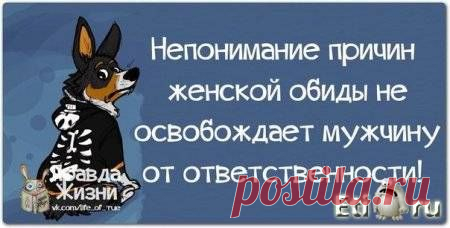 Картинки со смыслом / Болталка / Юмор