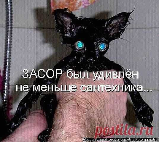 (1) Одноклассники