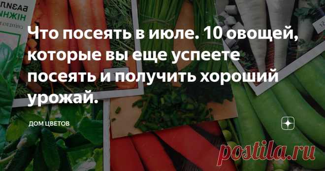 Что посеять в июле. 10 овощей, которые вы еще успеете посеять и получить хороший урожай.    Возможно, кто-то подумает: разве можно что-то посеять в середине лета. Оказывается можно и нужно.     И самая первая в моем списке - это конечно всевозможная зелень. Можно повторно посеять укроп, петрушку. И, кстати говоря, петрушка уже в этом году даст урожай, а затем еще отличный урожай будет следующей весной. С интервалом 10-15 дней зелень можно сеять до конца лета. Также можно п...