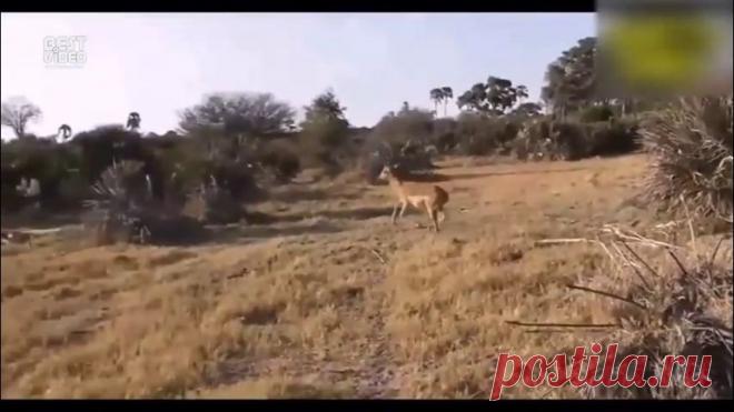 Как улучшить кровообращение в ногах.