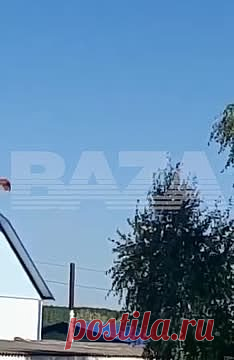Гибель россиянина при падении мотопараплана попала на видео. В сети появились кадры падения мотопараплана в Татарстане, при котором погиб мужчина. Их публикует Baza в Telegram-канале. На кадрах видно, как человек на мотопараплане летит между деревьев, а затем падает. Мужчина в возрасте 55 лет погиб в среду, 9 мая. Его параплан упал около села Светлое Озеро.