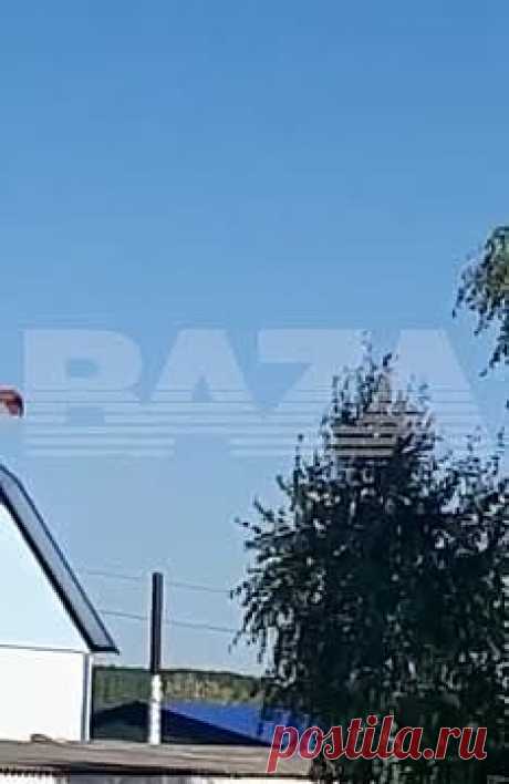 Гибель россиянина при падении мотопараплана попала на видео. В сети появились кадры падения мотопараплана в Татарстане, при котором погиб мужчина. Их публикует Baza в Telegram-канале. На кадрах видно, как человек на мотопараплане летит между деревьев, а затем падает. Мужчина в возрасте 55 лет погиб в среду, 9 мая. Его параплан упал около села Светлое Озеро.