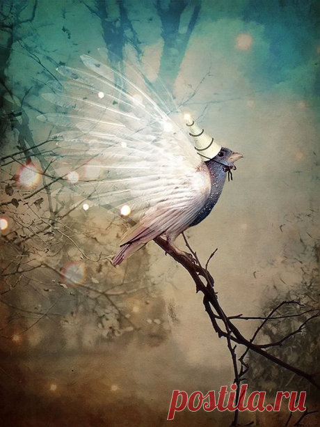 По городу бродят.... Я черная птица, и ты голубая.... Художник Catrin Welz - Stein