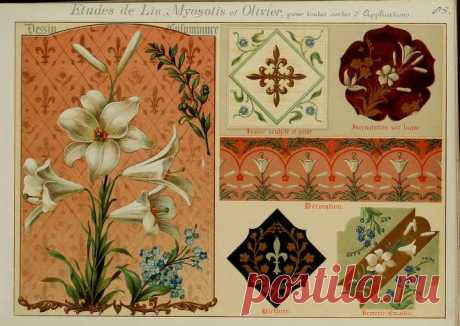Fleurs d'après nature et fleurs ornementales : études de fleurs et feulliages avec diverses interprétations applicables à l'enluminure et à la décoration : Guillot, Ernest : Free Download, Borrow, and Streaming : Internet Archive