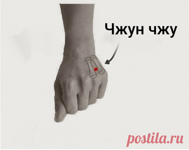 Точка чжун чжу — для здоровья спины, использую по 5 минут в день. Расскажу о ней более подробно
Всех приветствую на канале дорогие читатели. Кому же неизвестны проблемы со спиной, тем более, что остеохондроз перестал быть проблемой пожилого возраста, а изрядно помолодел, плюс …
Читай дальше на сайте. Жми подробнее ➡