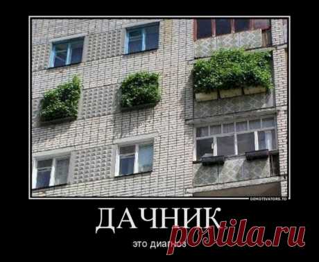 Выпуск №3192 - выпуск анекдотов сайта вокруг смеха