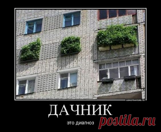 Выпуск №3192 - выпуск анекдотов сайта вокруг смеха
