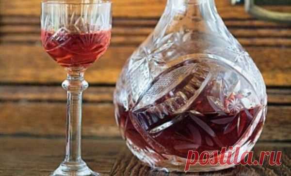 Записной  журнал обо всём происходящем. -  Медовый ликер - вкусное лекарство при простуде.