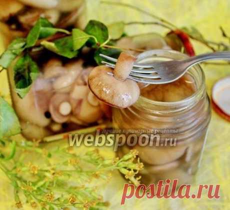 Маслята маринованные с корицей