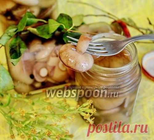 Маслята маринованные с корицей