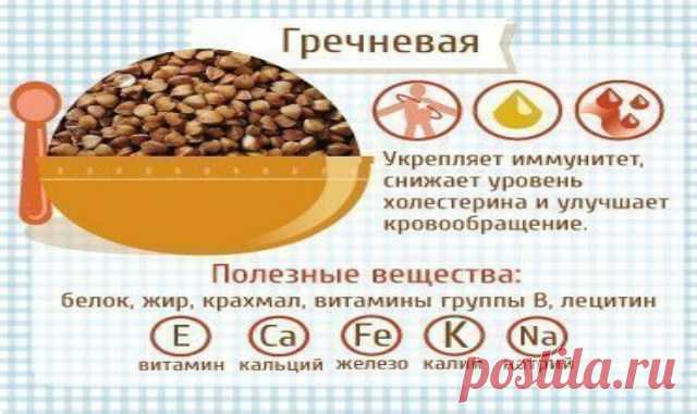 ПОЛЕЗНЫЕ СВОЙСТВА КАШ — Копилочка полезных советов