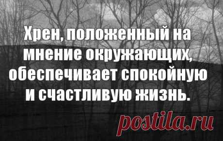 Хрен, положенный на мнение окружающих, обеспечивает спокойную и счастливую жизнь | Мир позитивных новостей