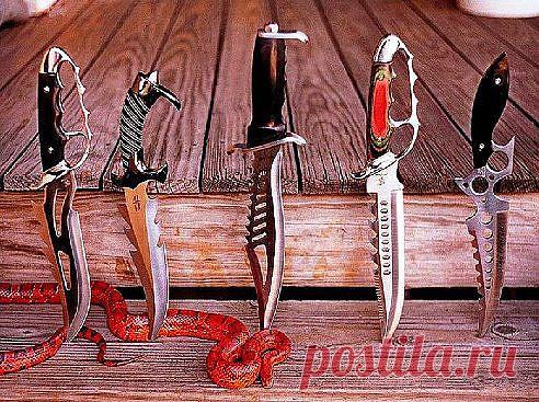 (72) Одноклассники