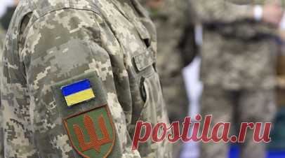 ТАСС: раскрыты данные командира бригады ВСУ, «раздающего» солдат. Представители силовых структур узнали личные данные и номер телефона командира 156-й отдельной механизированной бригады ВСУ полковника Юрия Гупалюка. Читать далее