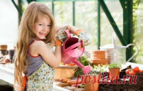 8 простых правил, как правильно ухаживать за комнатными растениями