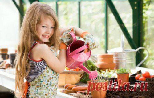 8 простых правил, как правильно ухаживать за комнатными растениями