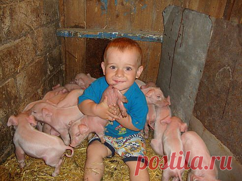 (66) Одноклассники
