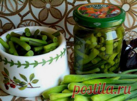 Чеснок &quot;Вкусные стрелочки&quot; | Заготовки