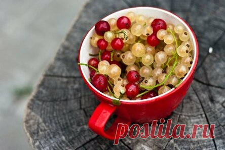Джем из красной и белой смородины
