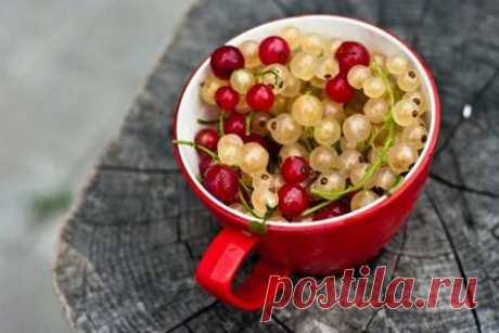 Джем из красной и белой смородины