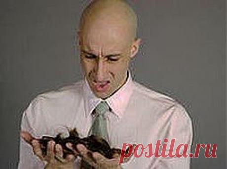 Соль волосы спасет | Друг пенсионера
Хоть и говорят, что лысые мужчины самые любвеобильные, лысина в мо­ду никак не входит. И многие мужчи­ны страшно переживают из-за по­явившихся залысин, стараются их за­маскировать, тратят деньги на доро­гие шампуни против выпадения во­лос.