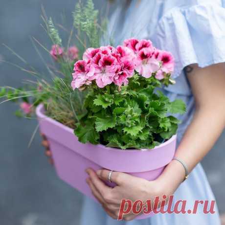 В жизни всякое с нами случается...
Все приходит, уходит, меняется...
Люди верят, мечтают, влюбляются,
Что-то строят, ломают, ломаются...
В жизни всякое с нами случается...
Но на этом она не кончается.
И нельзя ничего повторить...
Можно только сегодняшним Жить!