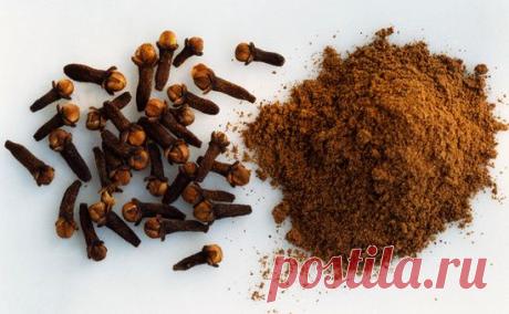 Гвоздика от ангины и неприятного запаха изо рта