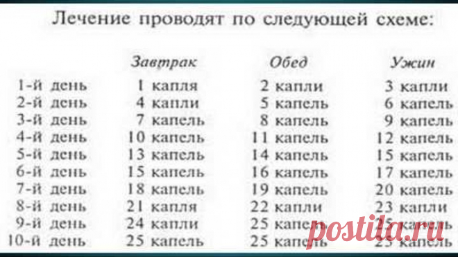 Тибетский рецепт молодости из чеснока