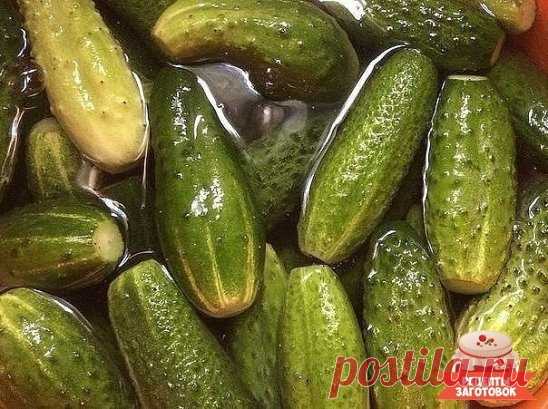 САМЫЙ ВКУСНЫЙ РЕЦЕПТ СОЛЕНЫХ ОГУРЧИКОВ, КОТОРЫМ ПОЬЗУЮСЬ УЖЕ 20 ЛЕТ! 
Для тех, кто любит хрустящей и острое!!! 
Я получила его, когда училась у деревенской бабушки- травницы, в глухой деревушке на Алтае. До того момента считала, что все огурцы ужасны в солении - мягкие, водянистые, невкусные. До сих пор, пробуя огурцы у всех, кто не знает этого рецепта, ни разу не ела вкусных!!! 
Рецепт простейший, результат - супер!!! Секрет - соленая вода (колодезная или родниковая)!!! 
Итак, начинаем!