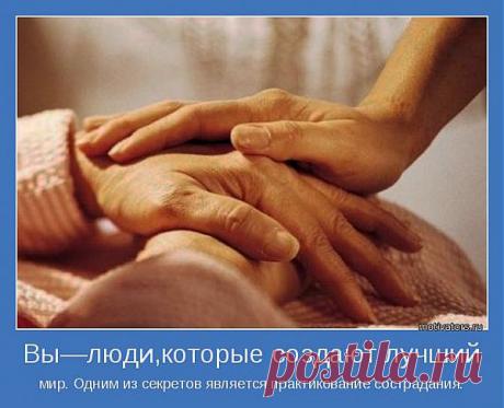 Сострадание и сочувствие | Как научиться жить без проблем?