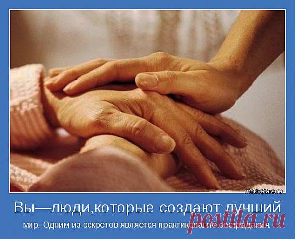 Сострадание и сочувствие | Как научиться жить без проблем?