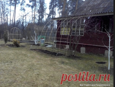 Опоры для вьющихся растений | Страница 12 | Форум - FORUMHOUSE