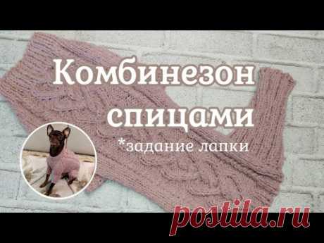 Комбинезон для собаки, вязание спицами