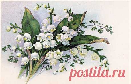 Gallery.ru / Фото #195 - 11 - Fyyfvbwrtdbx1957