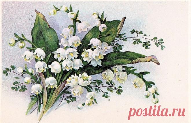 Gallery.ru / Фото #195 - 11 - Fyyfvbwrtdbx1957