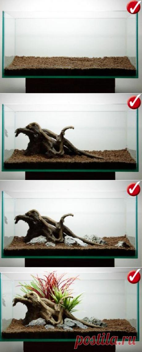 Как сделать красивый акваскейп с первой попытки