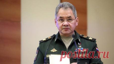 Выступление Сергея Шойгу на заседании профильного комитета в Госдуме | Выживи сам