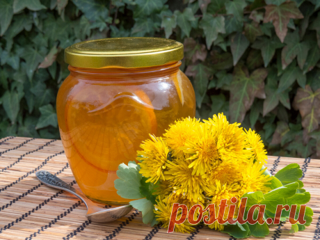Впервые сварил варенье из одуванчиков: мои впечатления - БУДЕТ ВКУСНО! - медиаплатформа МирТесен