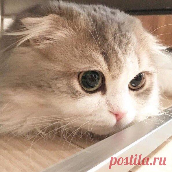 Интересные новости