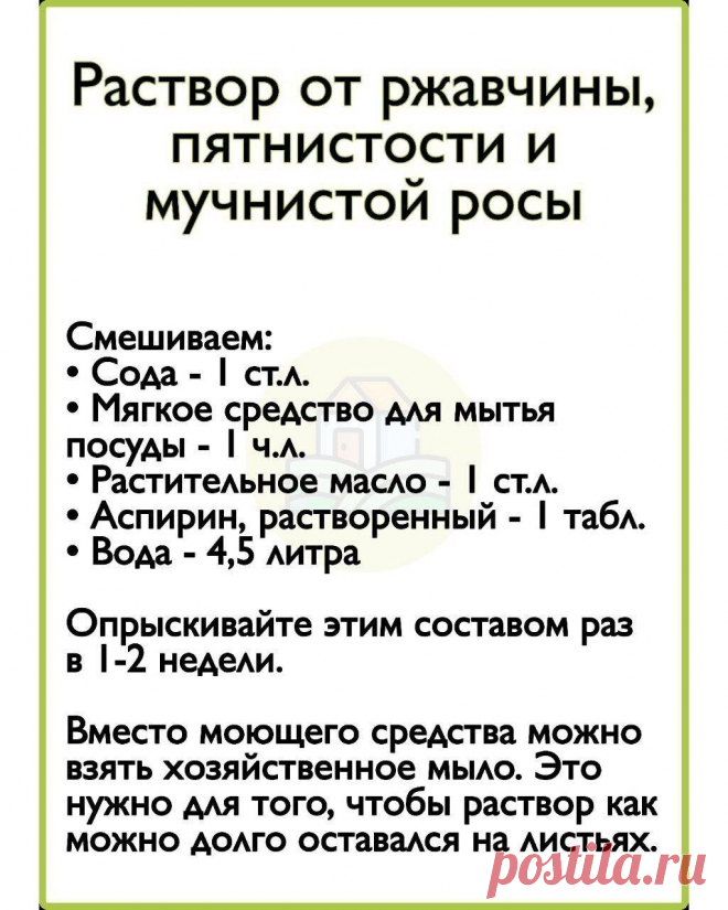 Сад