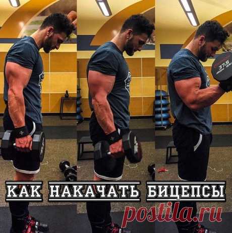 Как накачать бицепсы? / Спорт Сильных!