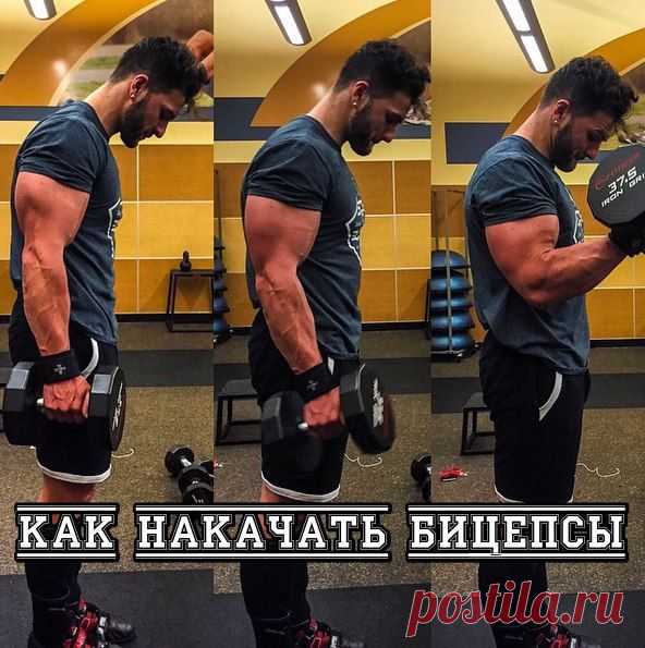 Как накачать бицепсы? / Спорт Сильных!